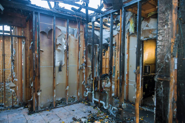 Professional Odor Removal technician working in Simonton Lake, IN